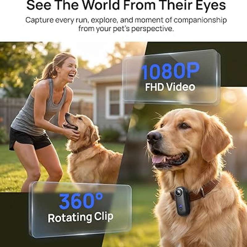 Telecamere per Animali Domesti - Home Cinema Hd recensione e prezzo