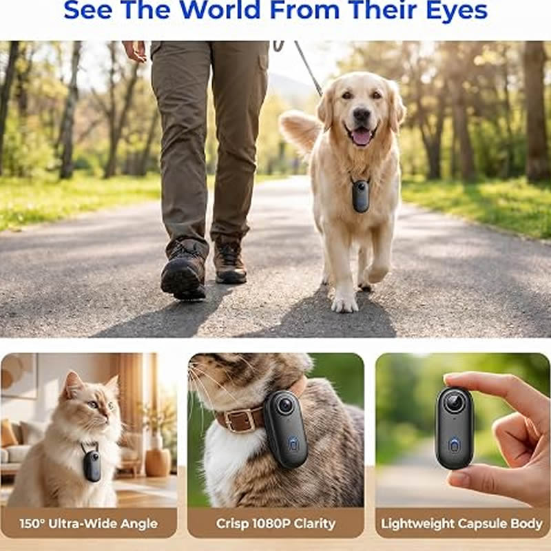 Telecamere per Animali Domesti - Home Cinema Hd recensione e prezzo