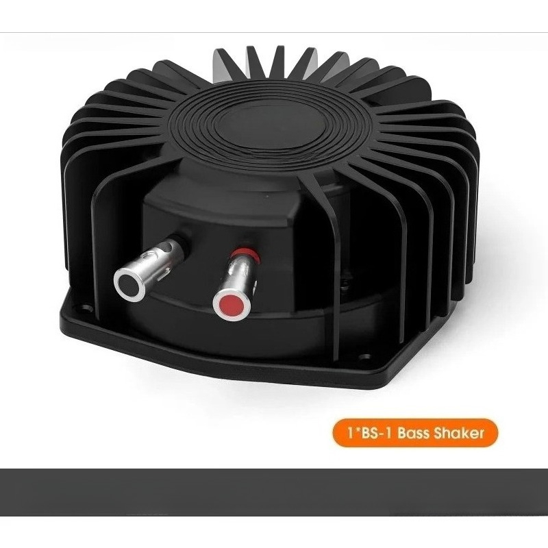 BS1 Bass Shaker 50W Trasduttor - Home Cinema Gaming recensione e prezzo